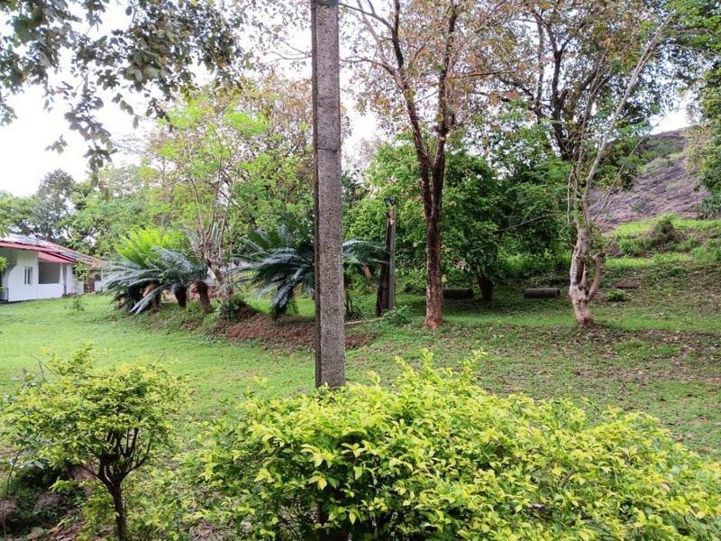Aligama Cottage Talakolawela 外观 照片